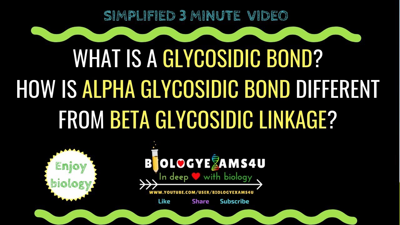 What Is A Glycosidic Bond? Difference Between Alpha And Beta Glycosidic Linkage