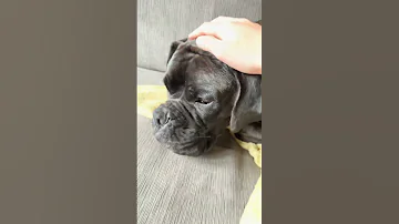 I Love You Sooooooomuch 