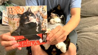 【猫】9月9日発売のフォトブックの中身ちょっとお見せします