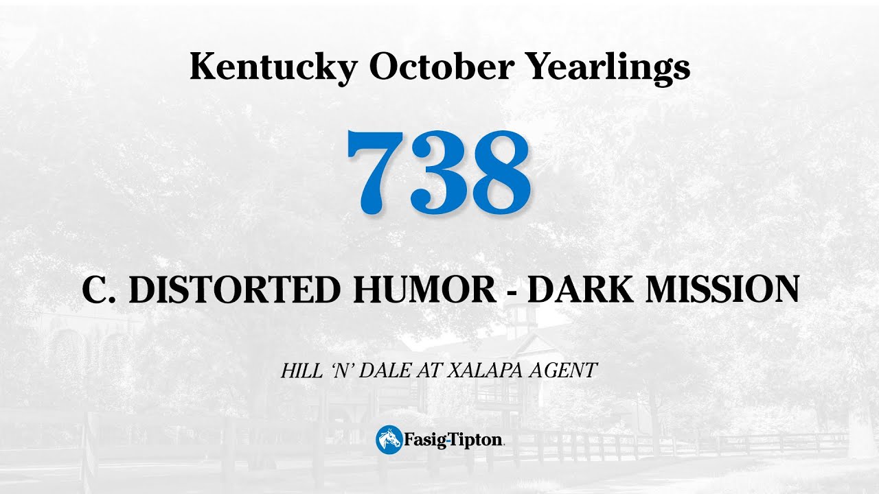 Hip738 - DISTORTED HUMOR-DARK MISSION, C