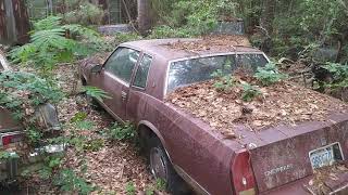 Exploring the abandoned junkyard with Salty!