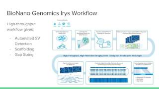 BioNano Genomics Optical Mapping