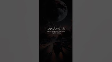 اكتب شيء تؤجر عليه ❤️🎧 قران كريم | راحة نفسية