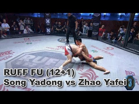 Song Yadong vs Zhao Yafei fight footage