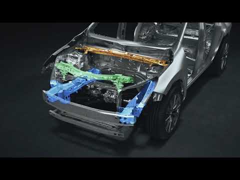 Lexus NX - 3D Cut Body Clean