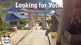 Looking for Yoshi 😺 by Lucky Cat Adventures 😺 375 views 1 year ago 7 minutes, 14 seconds