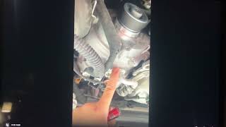 Audi Silver Spring Service Report