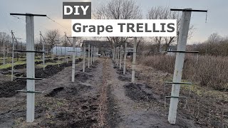 Creating a Strong and Stable Grapevine Trellis: Best Practices for Home Gardeners