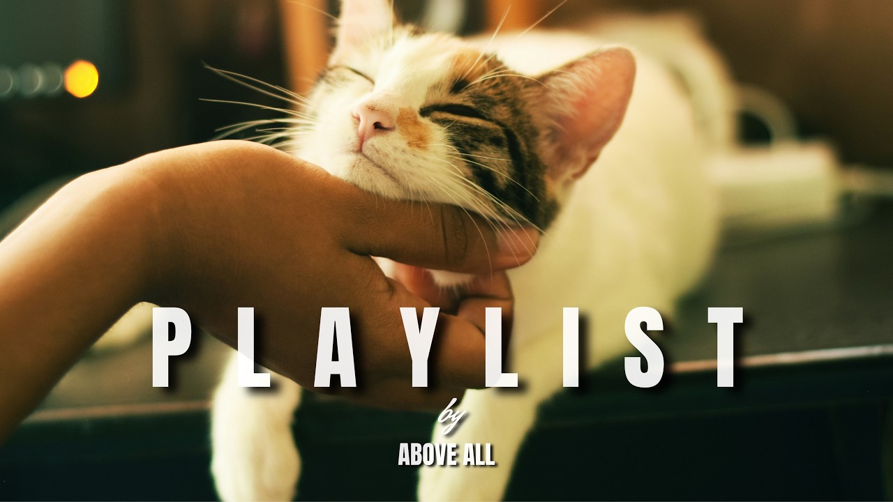 𝐏𝐥𝐚𝐲𝐥𝐢𝐬𝐭 Каждой весной хочется слушать это🌸Тёплый эмоциональный хип-хоп🌿 lofi • emotional • spring