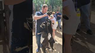 🐐🐐Парк Малинки🐐🐐#паркмалинки#милыеживотные#козы#кормлениеживотных