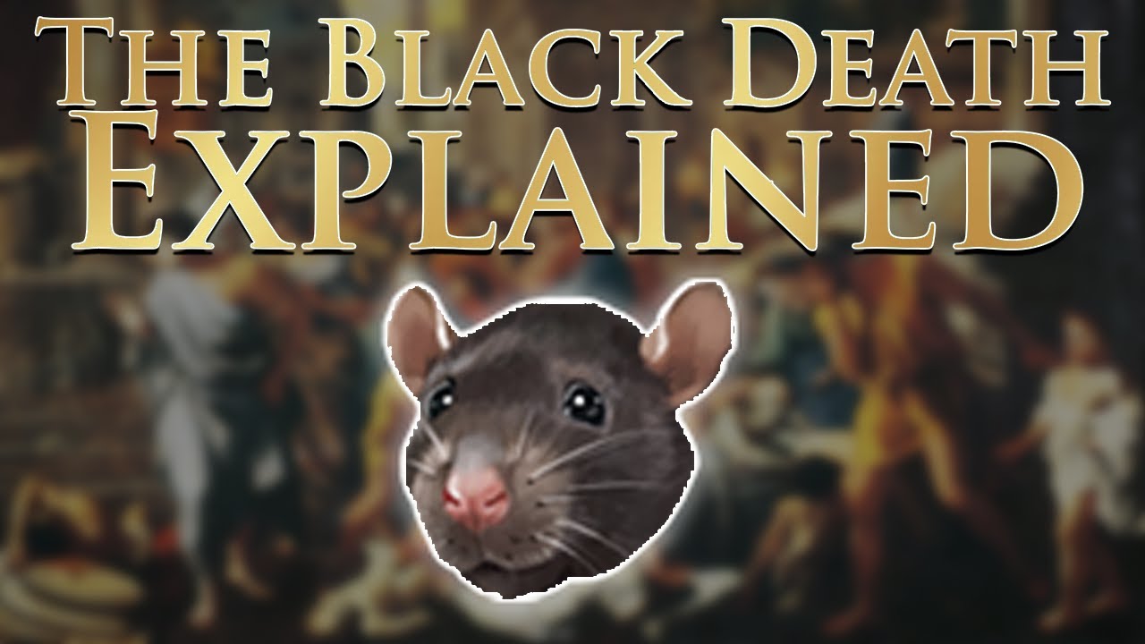 What should you do about the Black Death in EU5?