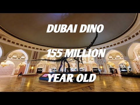 Dubai Dino- Real