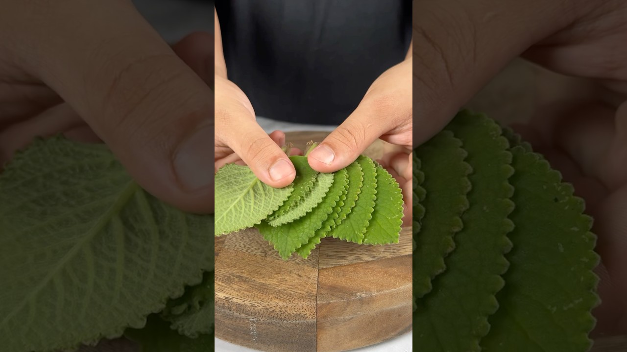 Aceite de orégano casero con solo 2vingredientes: no volverás avivir sin él 