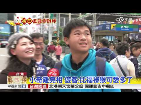 死角最多主燈!小奇雞全貌難拍│中視新聞 20170131