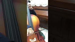 Artistry in Strings book 1 (cello) no.132-136