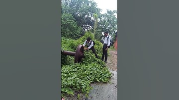 #shorts I am going to ITI college.Ranaghat govt ITI.Trad computer operator and programming assistant