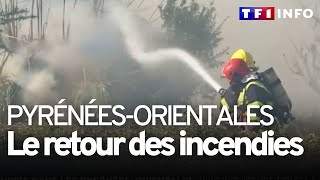 Incendies dans les Pyrénées-Orientales : vive inquiétude pour la soirée