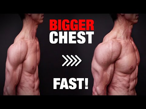 How to Get a Bigger Chest Fast (JUST DO THIS!) 