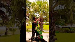 #song #bhojpuri #dj #newsong #dance #dance #kajal @Kajal.929