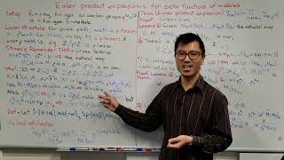 The Euler product expansion for zeta functions of modules