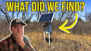 I Found Something I've Never Seen While Scouting New Foraging Areas!