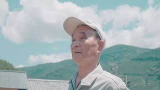 茶箱と、百年の工房川根本町・前田製函所 解体の記録 ー Chabako and a