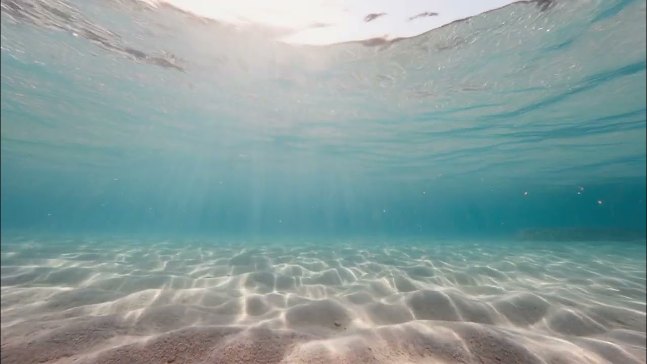 Beneath the Waves – Calming Underwater Ocean