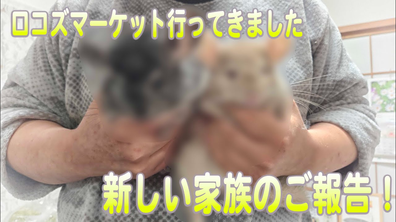 ロコズマーケット行ってきましたからのお迎え報告！