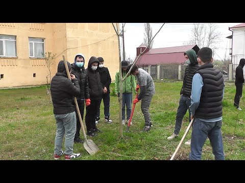 ფოთის მე-4 საჯარო სკოლაში, გამწვანების აქცია გაიმართა 28 03 22