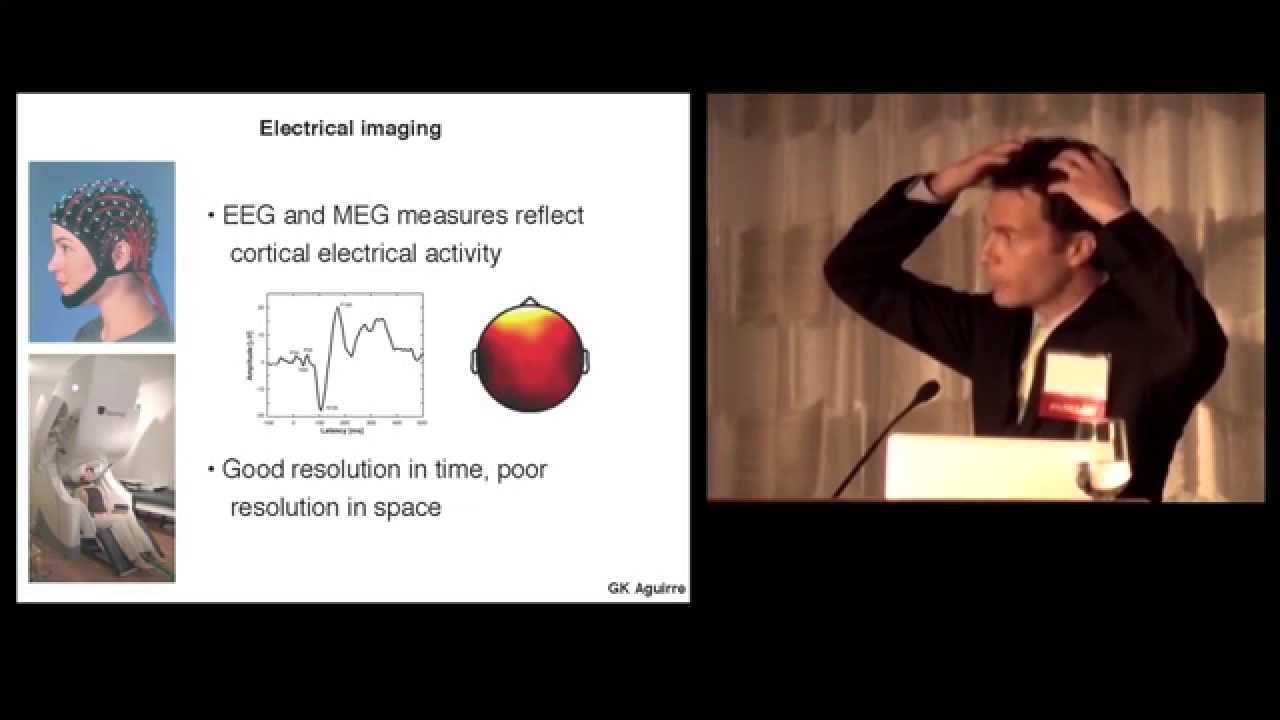 Geoffrey Aguirre presents Neurons to Neuroimaging. Chicago, April, 2013