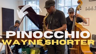 Pinocchio [Wayne Shorter] | New Jazz Underground