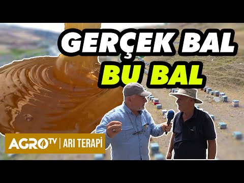 Video: Arı Balsamı Kontrolü - Arı Balsamı Bitkilerini Nasıl Yöneteceğinizi Öğrenin