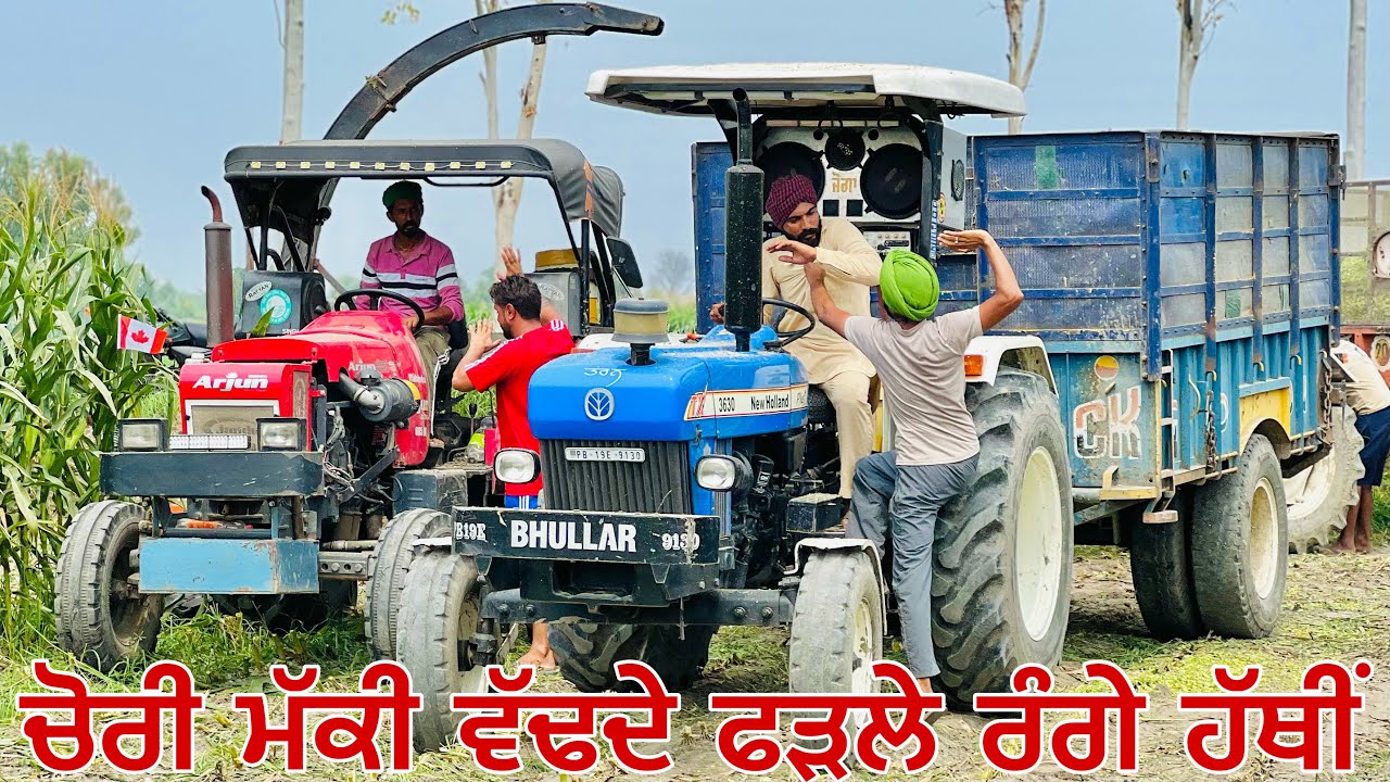 ਚੋਰੀ ਗੁਆਂਢੀਂ ਦੀ ਮੱਕੀ ਵੱਢ ਕੇ ਵੇਚਦੇ ਸੀ , ਫੜਲੇ ਰੰਗੇ ਹੱਥੀਂ ॥ ਵੇਖੋ ਕਿਵੇਂ ਭਜਾ ਭਜਾ ਕੇ ਕੁੱਟੇ ਪੰਚਾਇਤ ਨੇ ॥