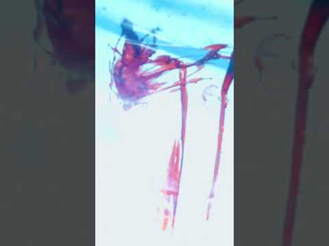 I regret nothing!#foryoupage #supportlocalartists #horror #risingartists #newmusicsoon