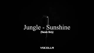 Jungle - Sunshine (Acapella/Vocals Only)