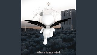 Miniatura del video "Release - where is my mind - acoustic"