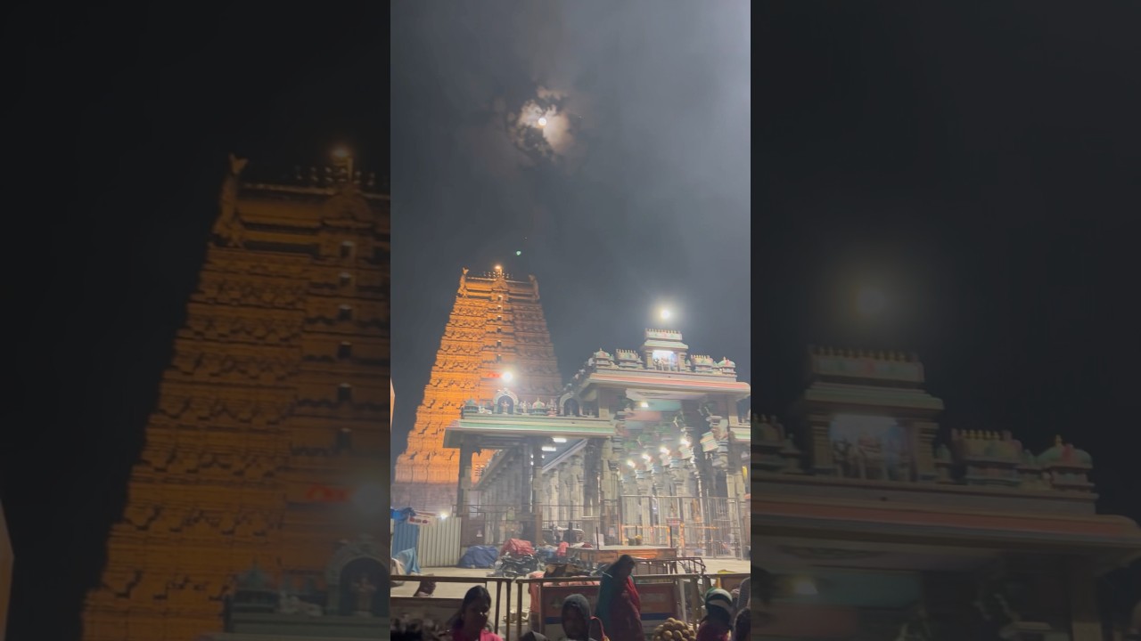 Om Namashivaya 🙏🏻 #arunachalam #lordshiva #lord #chagantikoteswararao #chaganti #thiruvannamalai