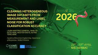 Cleaning heterogeneous image datasets from measurement + label noise for robust classification accur