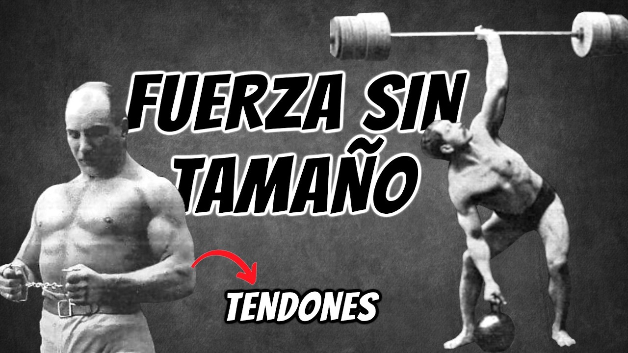 ¿Son débiles tus TENDONES? Los 5 MÉTODOS clave para armwrestling, JJB, boxeo, calistenia…