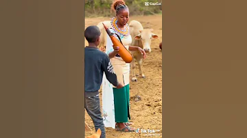 DJ QUEEN 254 MILKING COWS Youtubeshorts Newmusic 