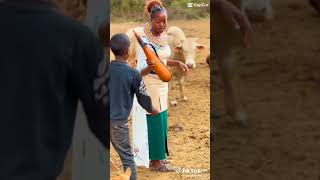 Download Lagu DJ QUEEN 👑 254 MILKING COWS 💯#youtubeshorts #newmusic MP3