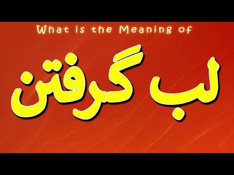      معنی لب گرفتن لب گرفتن چیست لب گرفتن