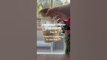 Sourdough Starter From Scratch: Day 4