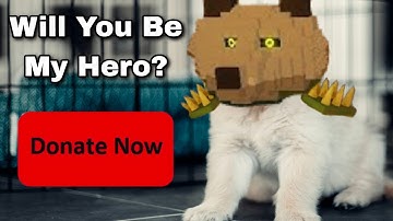 Rune Slayer Needs YOUR Help...