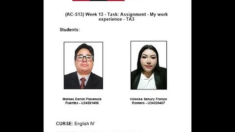 (AC-S13) Week 13 - Task: Assignment - My work experience - TA3