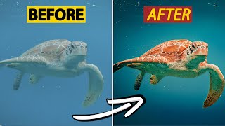 STOP & Fix Your COLORS In Underwater Video....MUST KNOW Editing Tricks screenshot 3