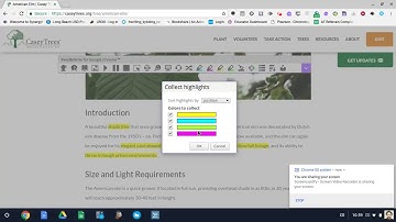 Highlighting Tool in Read and Write