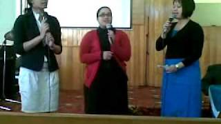 TAUTINO ATU  **Darra Dreamets**  Brisbane Sisdac 2010