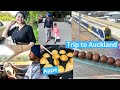 Beautiful road journey from kaimai mountains to auckland  summer vibes  excitement of train