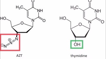 AZT: the story of HIV
